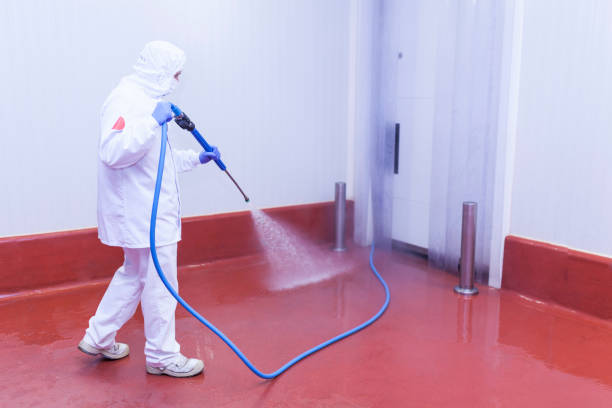 Best Warehouse Cleaning  in Flanders, NJ